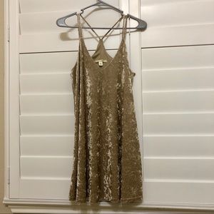 Francesca’s Velvet Gold Dress
